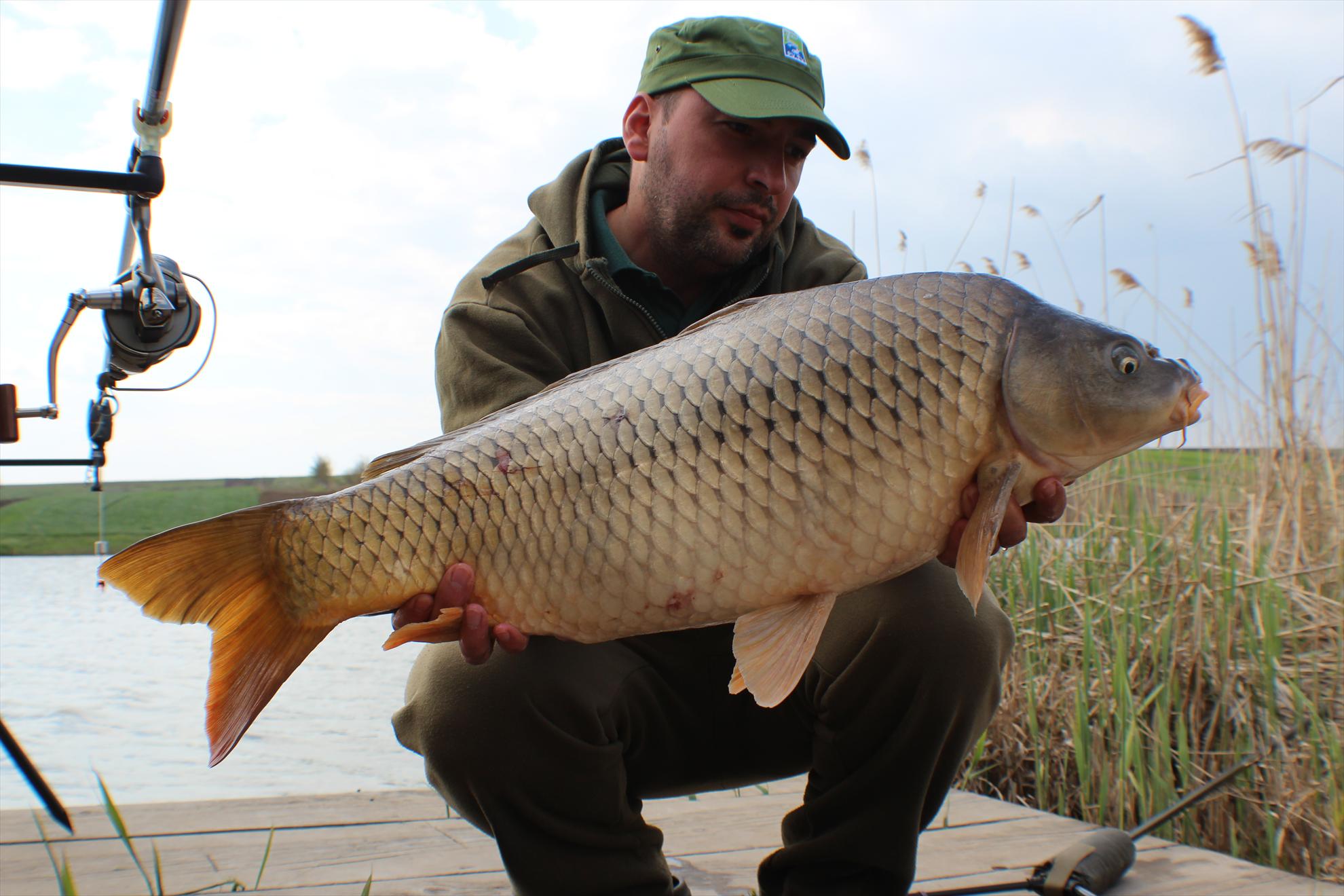 Magura 9 - .....si ultima captura...